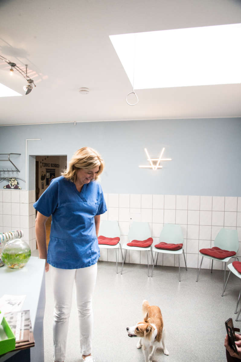Wartezimmer Tierarzt Heuchelheim