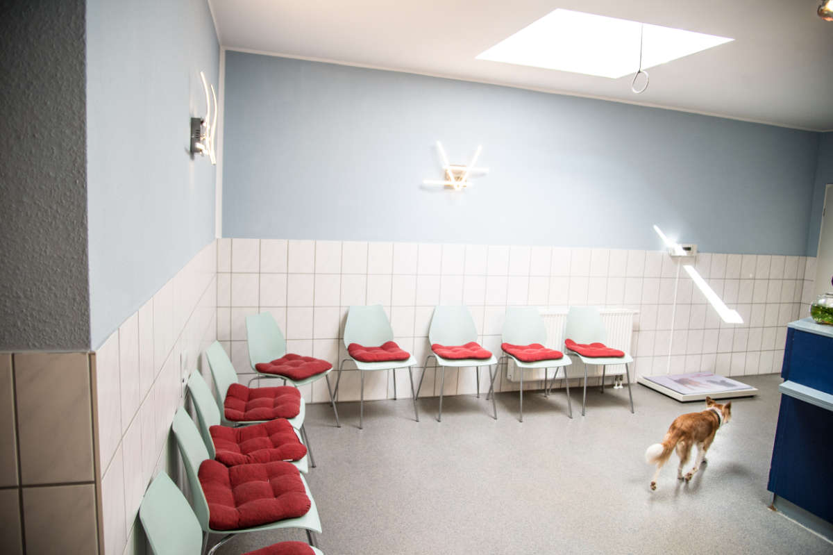 Wartezimmer Kleintierpraxis Tierarzt Heuchelheim