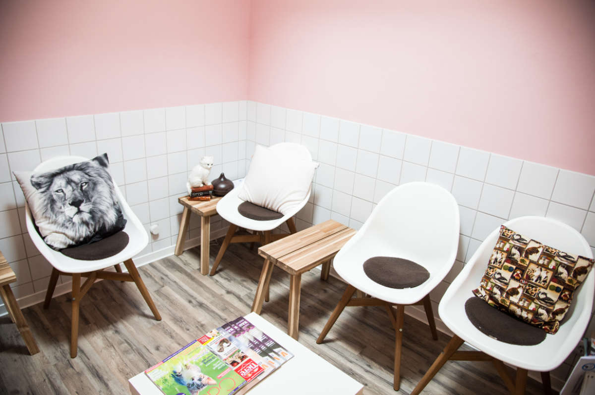 Katzenwartezimmer Tierarzt Kleintierpraxis Nicole Schmidt
