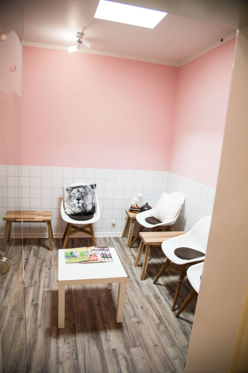 Katzenwartezimmer Kleintierpraxis Nicole Schmidt Heuchelheim