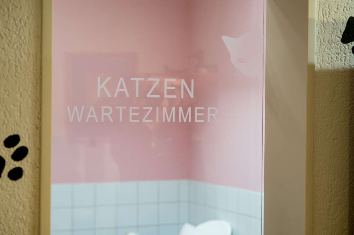 Katzenwartezimmer Tierärztin Nicole Schmidt Heuchelheim bei Gießen